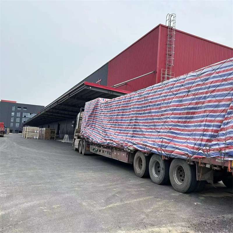 阜新到诸城物流公司——一站式货运服务专家（山东诸城物流专线查询）